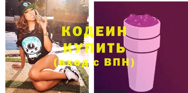 молекула духа Богородицк