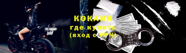 молекула духа Богородицк