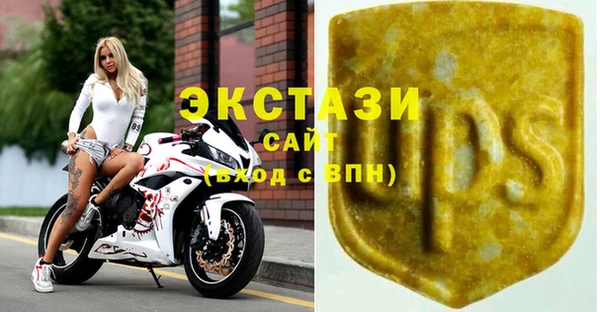 молекула духа Богородицк