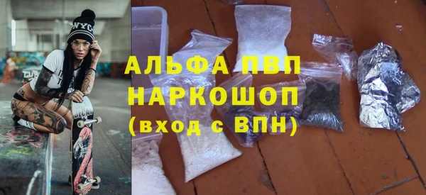 молекула духа Богородицк