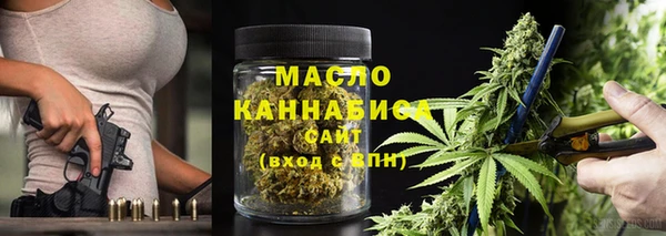 молекула духа Богородицк