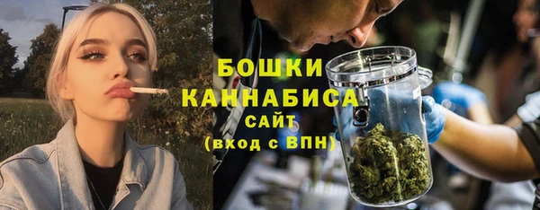 молекула духа Богородицк