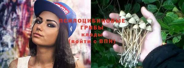 скорость Богданович