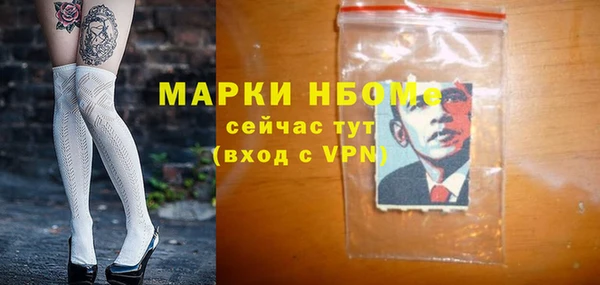 молекула духа Богородицк