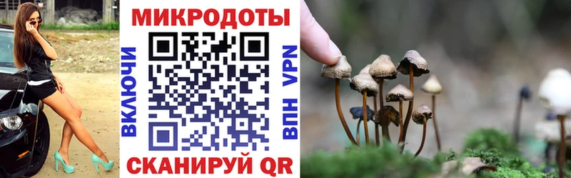 Псилоцибиновые грибы Magic Shrooms хочу omg сайт Володарск